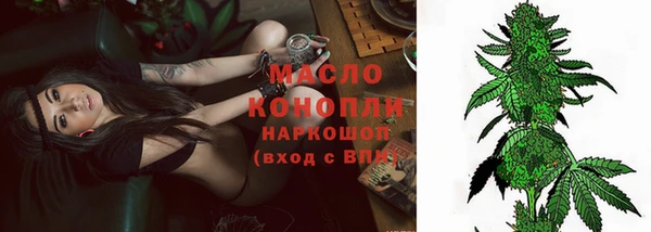 сатива Алзамай