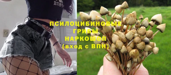 метамфетамин Алексин