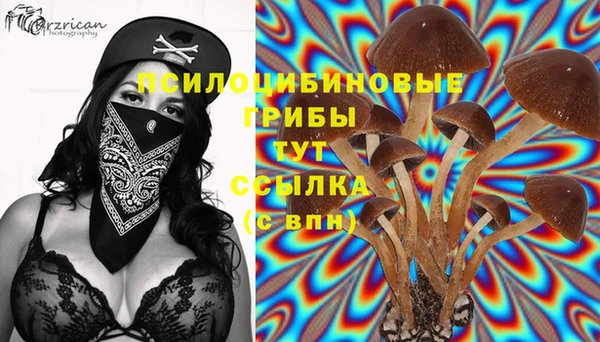 сатива Алзамай