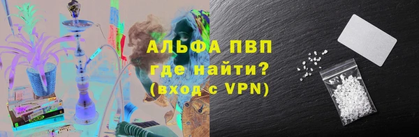сатива Алзамай