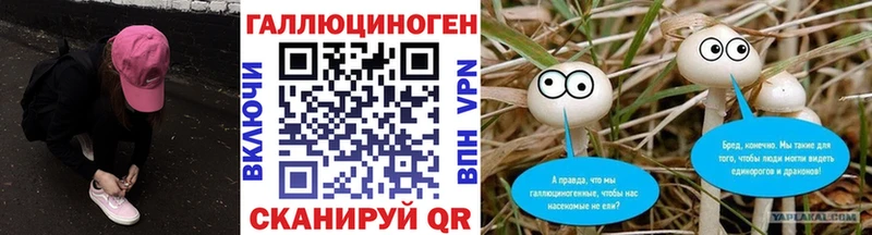 как найти Чебаркуль Галлюциногенные грибы прущие грибы